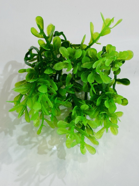 IMG_4291 (3)