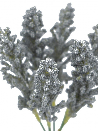 17588_SA11646-GRAY_9