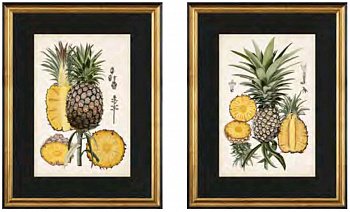 Постер в раме G&C the classical collection  RS3878PPBL/3504G 500x700