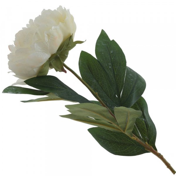 16328_de9d2179f5c9d1522b01644b9815643d