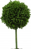 26940_29574-BLAC_3
